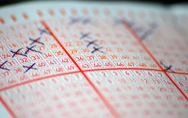 kerala lottery result chart​ at Play Sikkim Lottery featured
