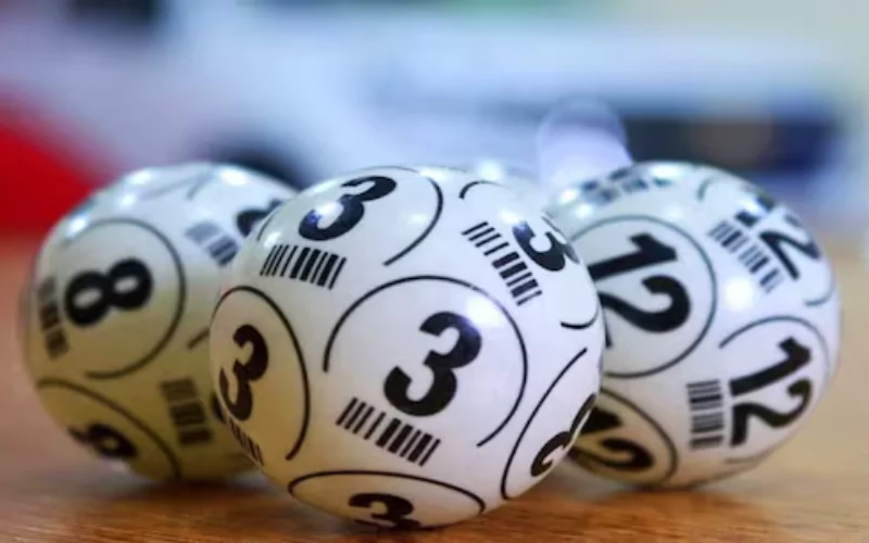 dhankesari lottery sambad​ at Play Sikkim Lottery featured
